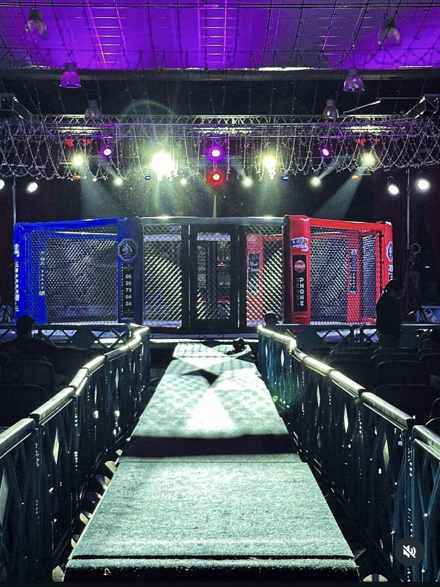 Animation d'un gala de MMA à Revel, autour de la cage